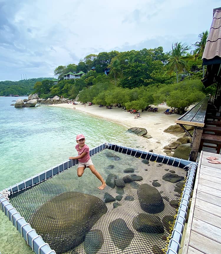 Best Beach on Koh Tao Thailand - Freedom Beach, young girl on a hammock, beach in background