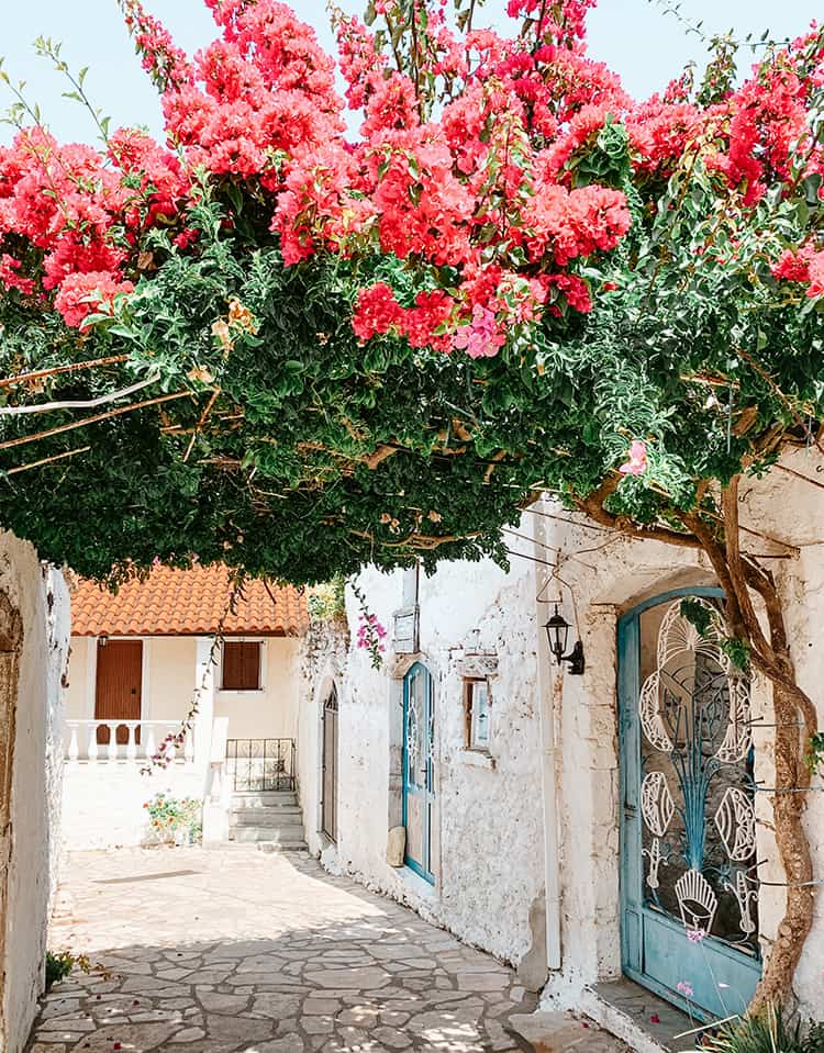 Bougainvillea street scene, Afionas, Corfu, Greece