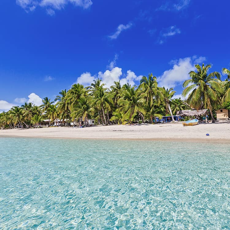 Fiji Beach 
