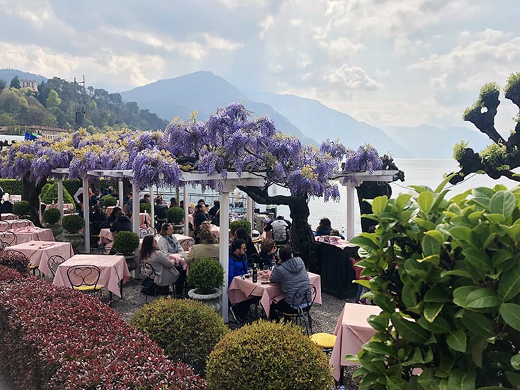 Best Time of the Year to Visit Lake Como for Flowers