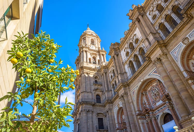Malaga Cathedral in Spain