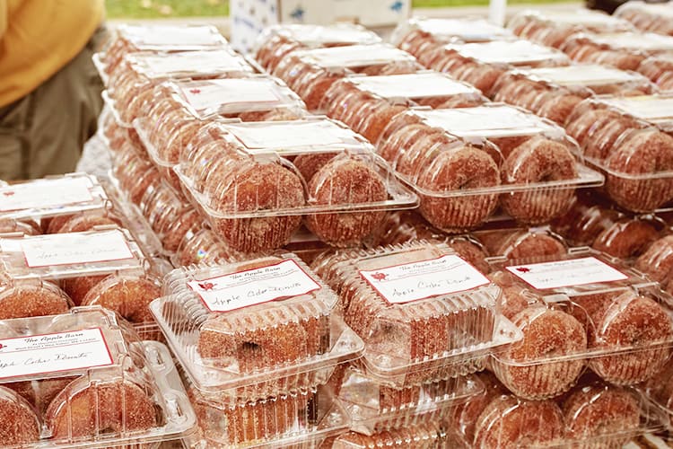 Apple Cider donuts in Boston Massachusettes, USA