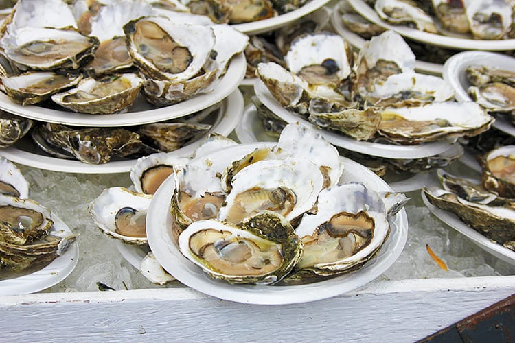 Oysters in Boston, Massachusettes, USA
