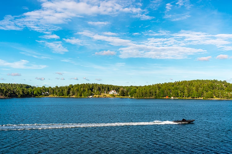 Stockholm Archipelago 1-Hour Tour by RIB Speed Boat