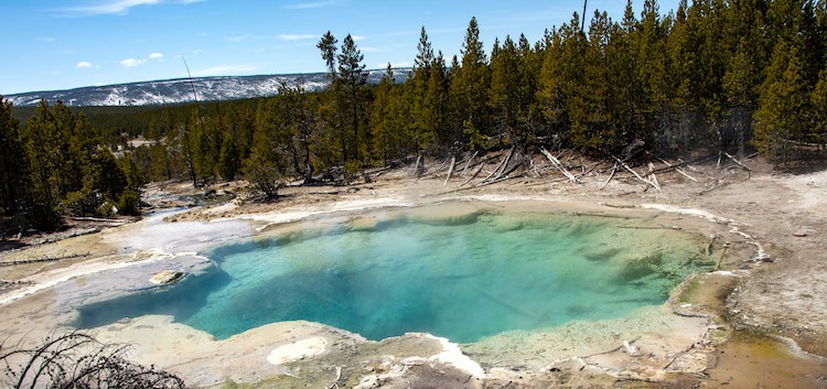 Yellowstone National Park