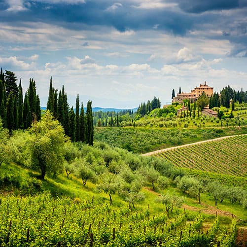 Best Tuscany Wine Tours From Florence