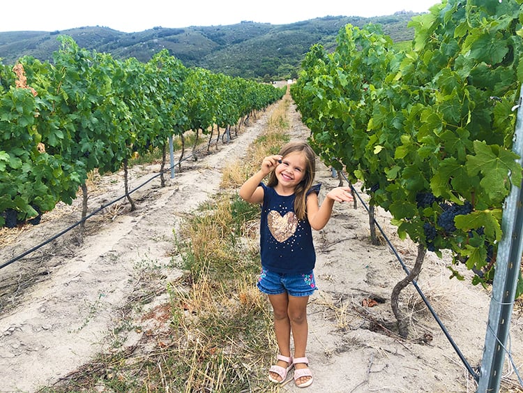 Best Wine Tasting Cape Town Tours and Trips, little girl with a grape in the vineyard