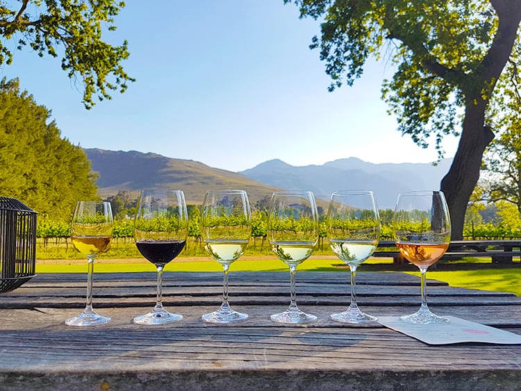 Wine tasting in Stellenbosch, South Africa