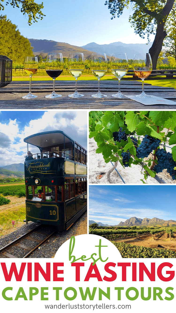 7 Best Wine Tasting Cape Town Tours in 2024
