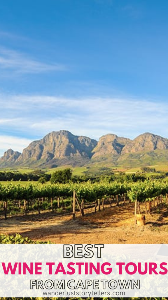 Best wine tasting tours from Cape Town