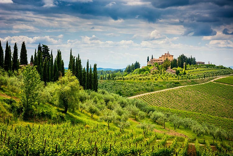 Best wine tours from florence to tuscany