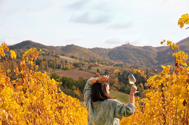 best Tuscan Wine Tour from Florence