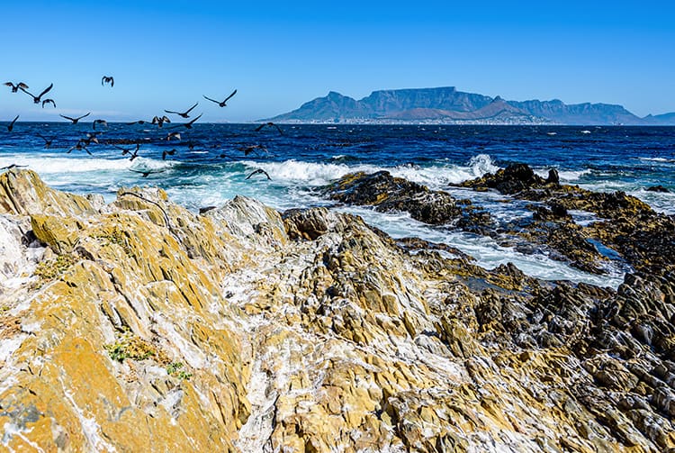 Best Sunset Cruises in Cape Town, Rocky Shore of Robben Island in Cape Town, South Africa