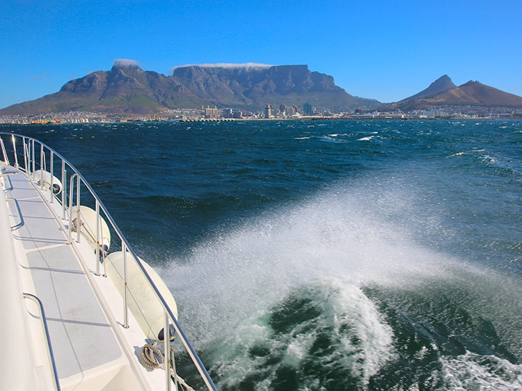 Best Sunset Cruises in Cape Town, Tabletop Mountain and Lion's Head from the water, South Africa
