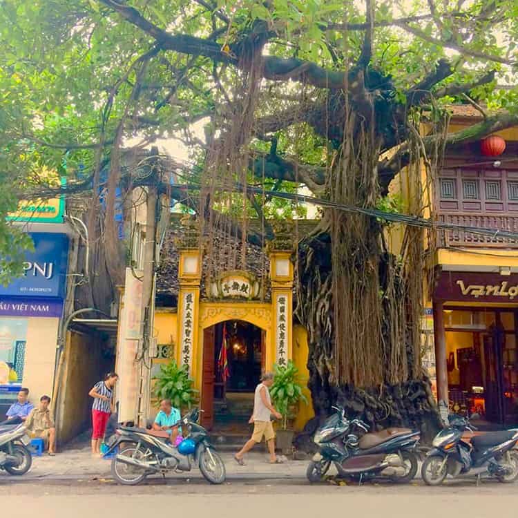 Best Walking Tours in Hanoi, Hanoi streets and trees