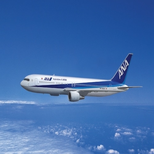 ANA Airlines Plane