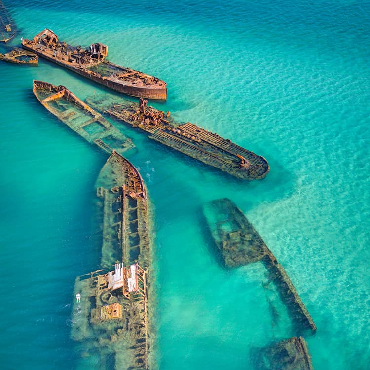 Best Moreton Island Tours - Tangalooma Shipwrecks sqare image