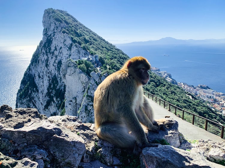 Gibraltar by Travel on a Time Budget