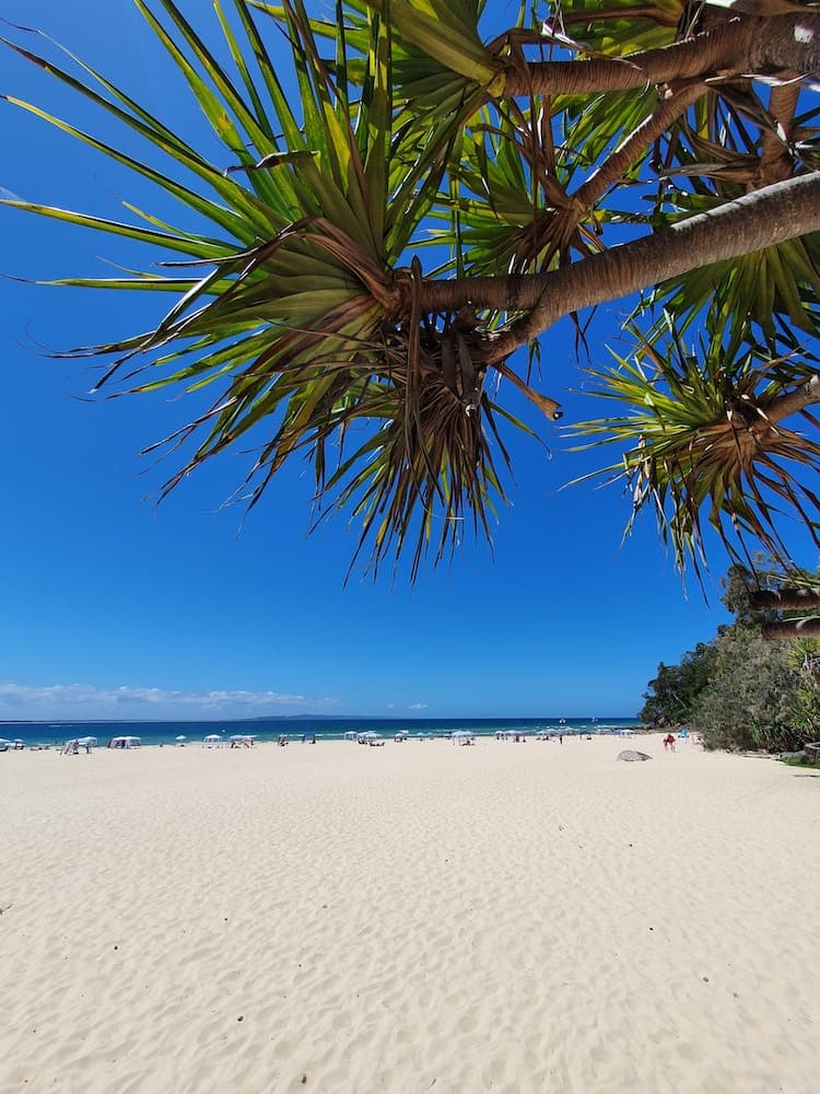 Noosa Best Beaches in Queensland