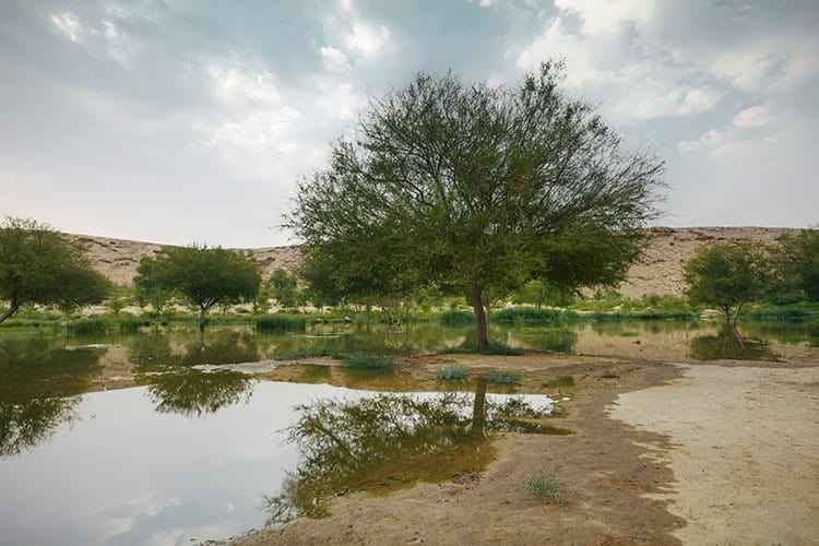 Wadi Hanifah lake, Riyadh, Saudi Arabia