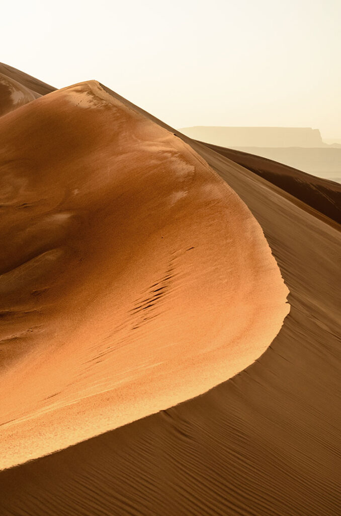 Riyadh Desert