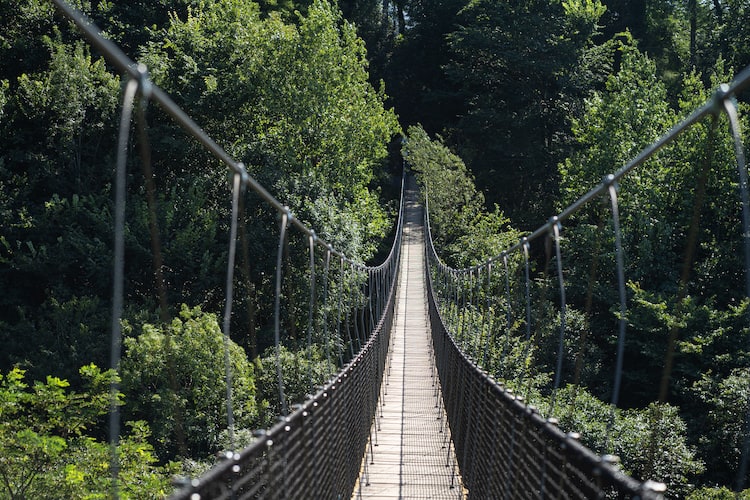 Shepherd of the Hills Tree Top Rope Walkway in the Ozarks