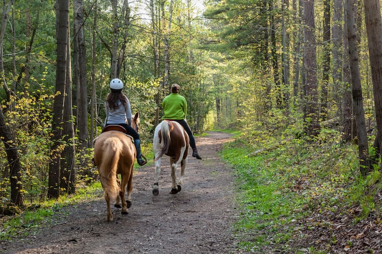 Two Women Horse Back Riding Ozarks Trails 