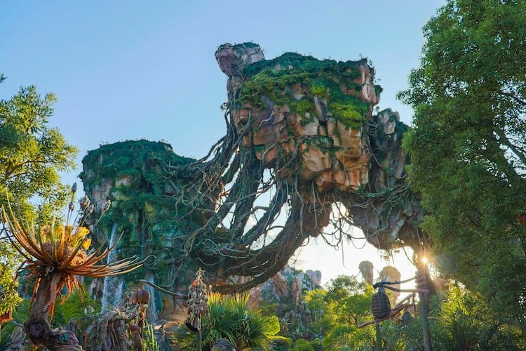 Disney World Florida Orlando Avatar world