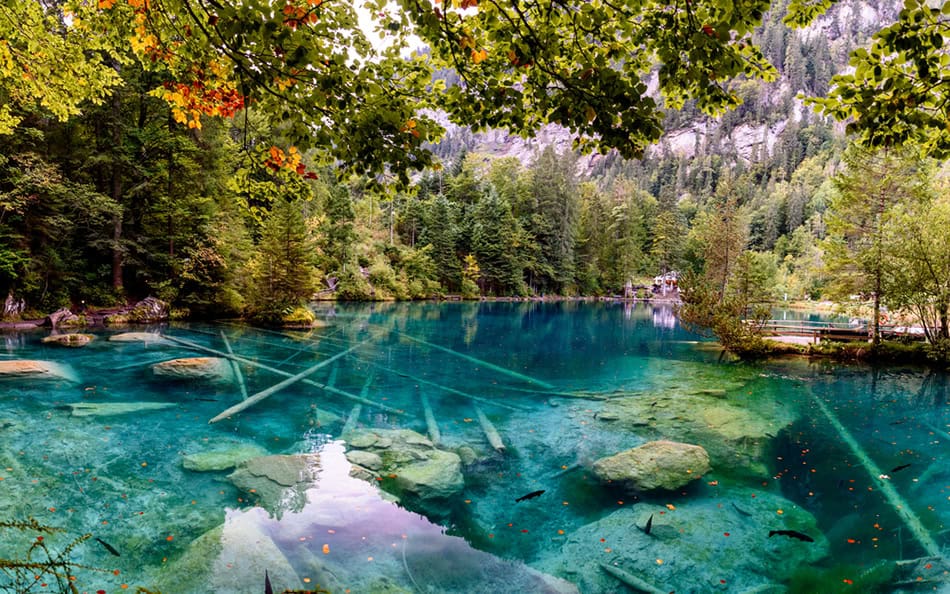 Blausee Lake Switzerland