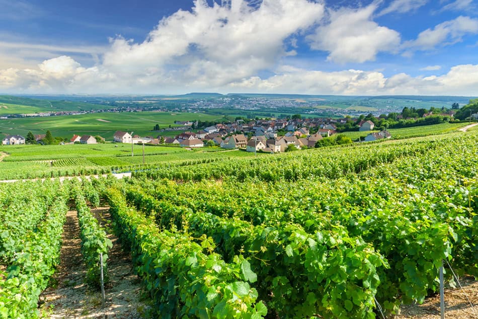 Champagne France