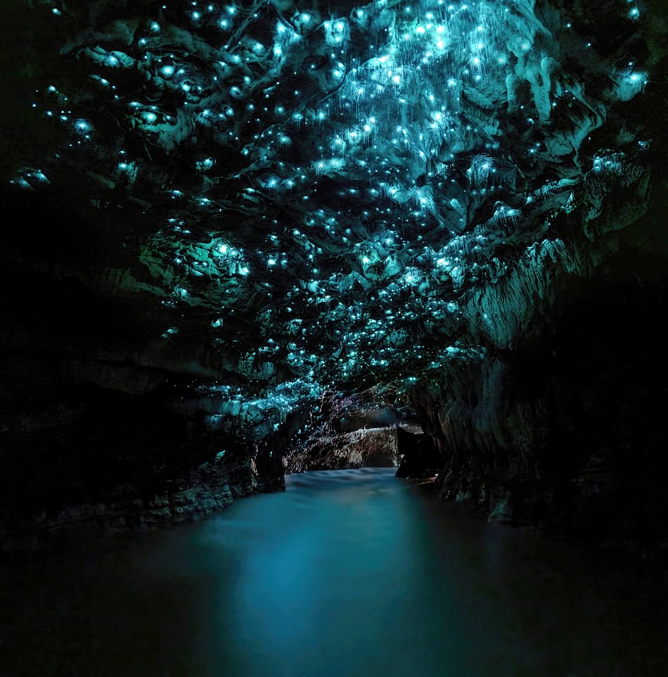 Glowworm Caves, New Zealand