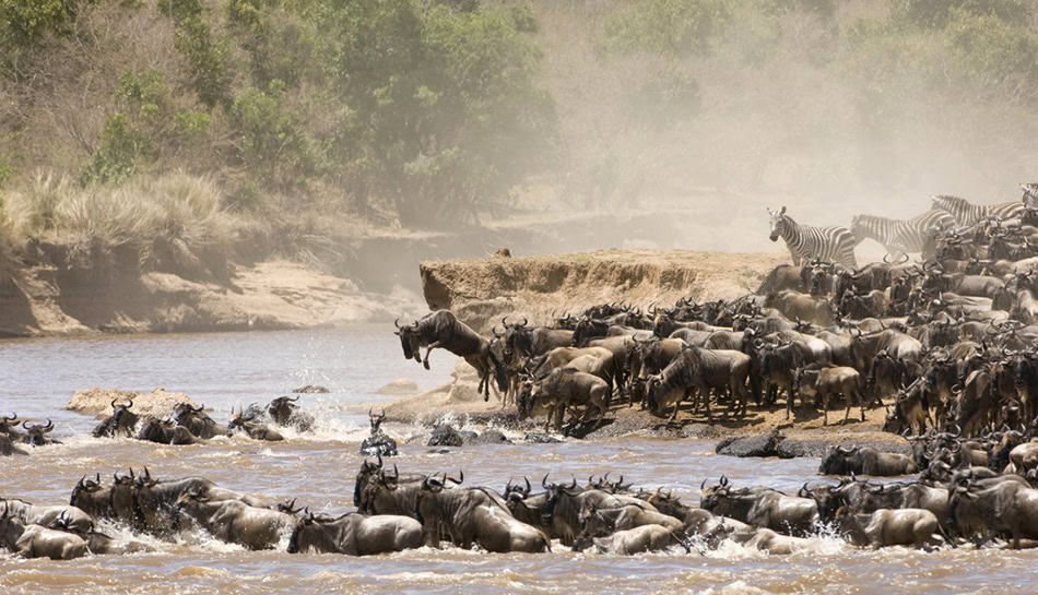 Great Migration Kenya