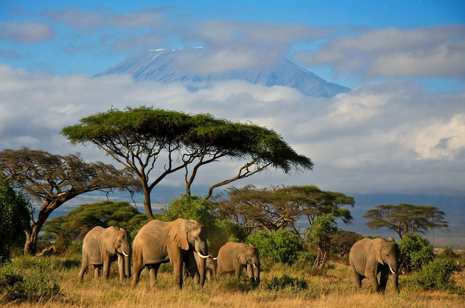 Kenya