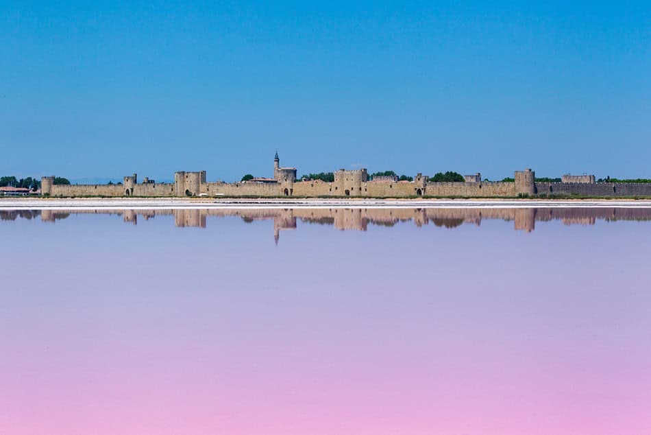 Camargue Salt Marshes France