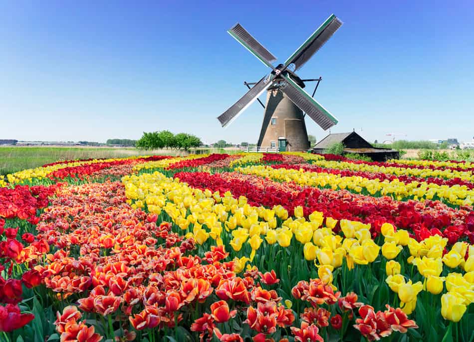 Kinderdijk Netherland