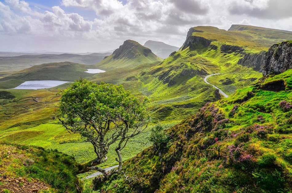 The Scottish Highlands, Scotland