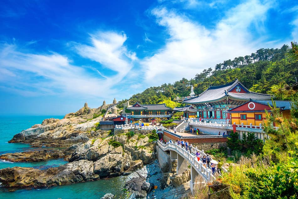 Busan South Africa