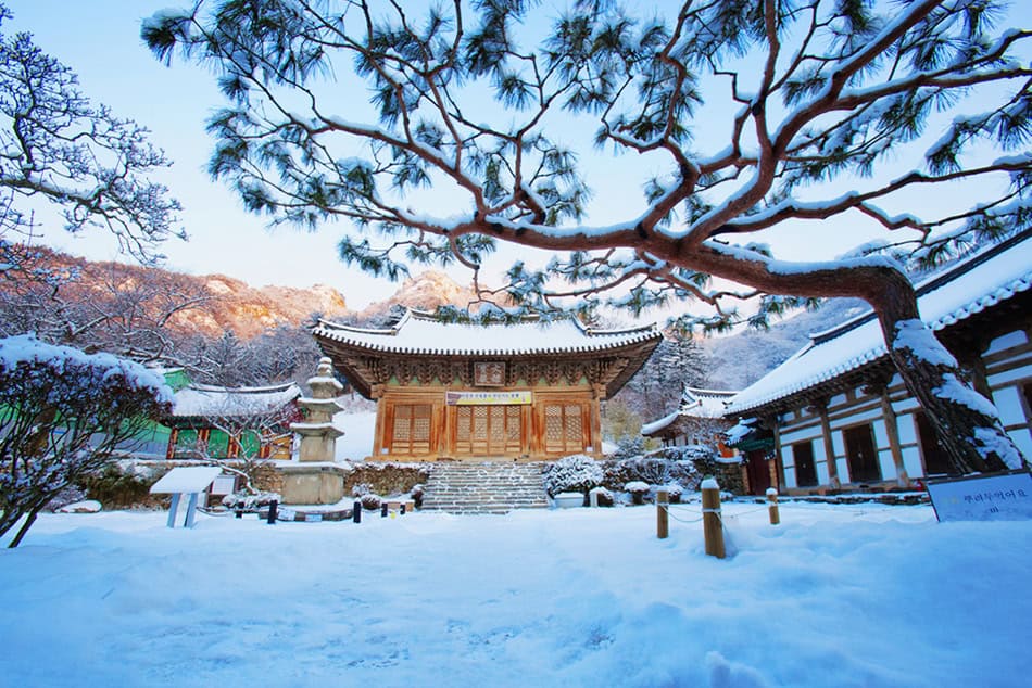 South Korea in Winter