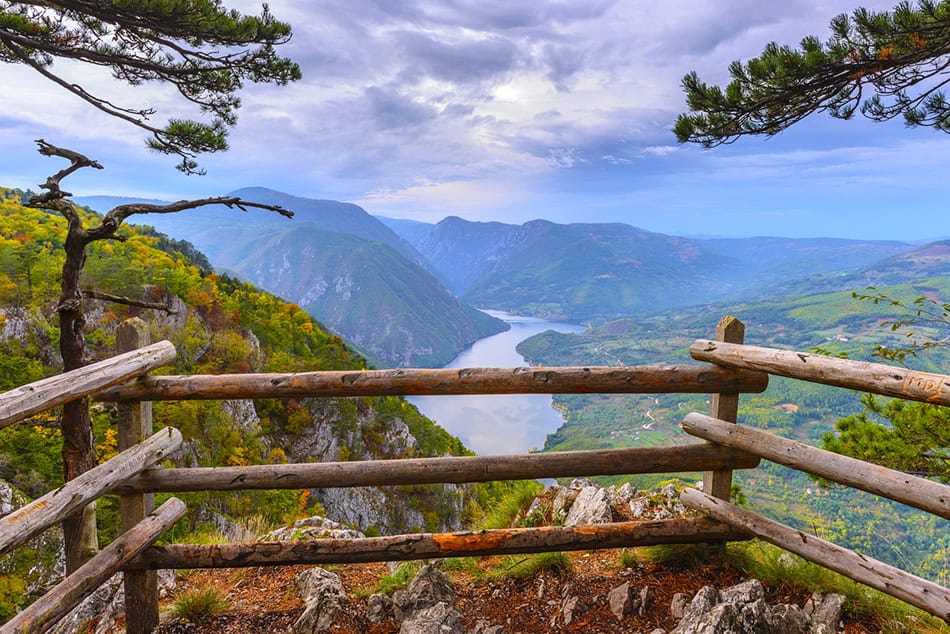 Tara National Park Serbia