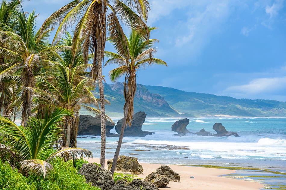 Bathsheba beach, East coast of Barbados island, Caribbean