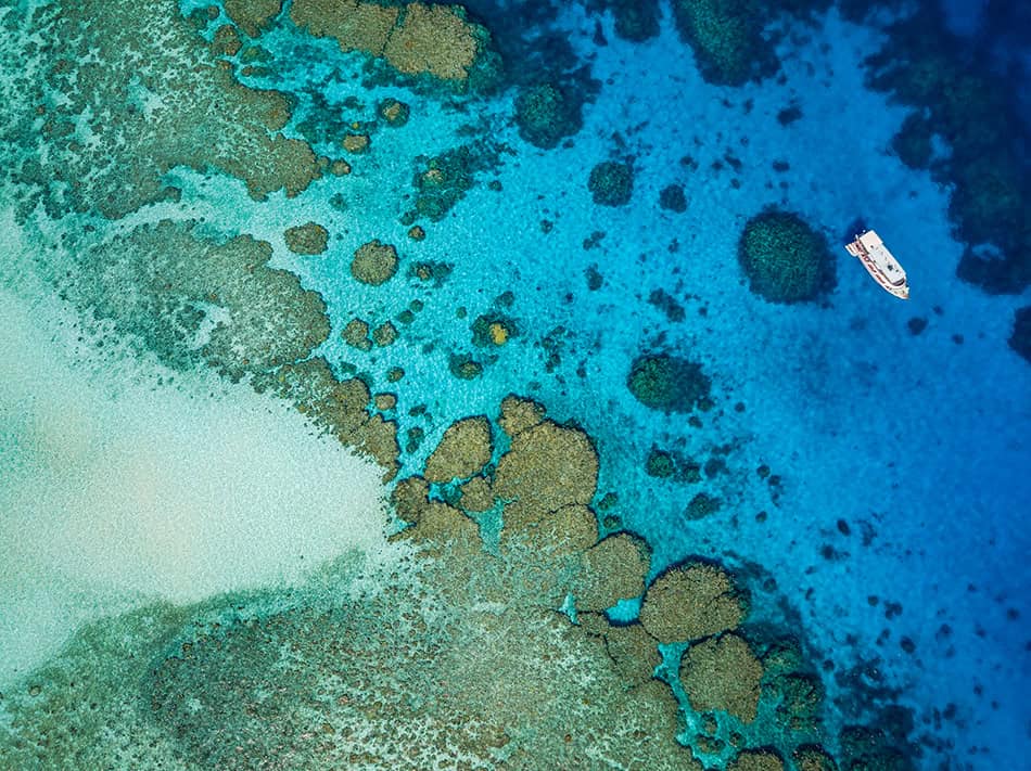 Great Barrier Reef Australia