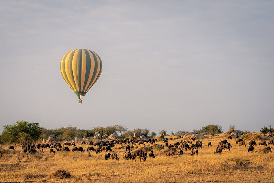 Serengeti Tanzania
