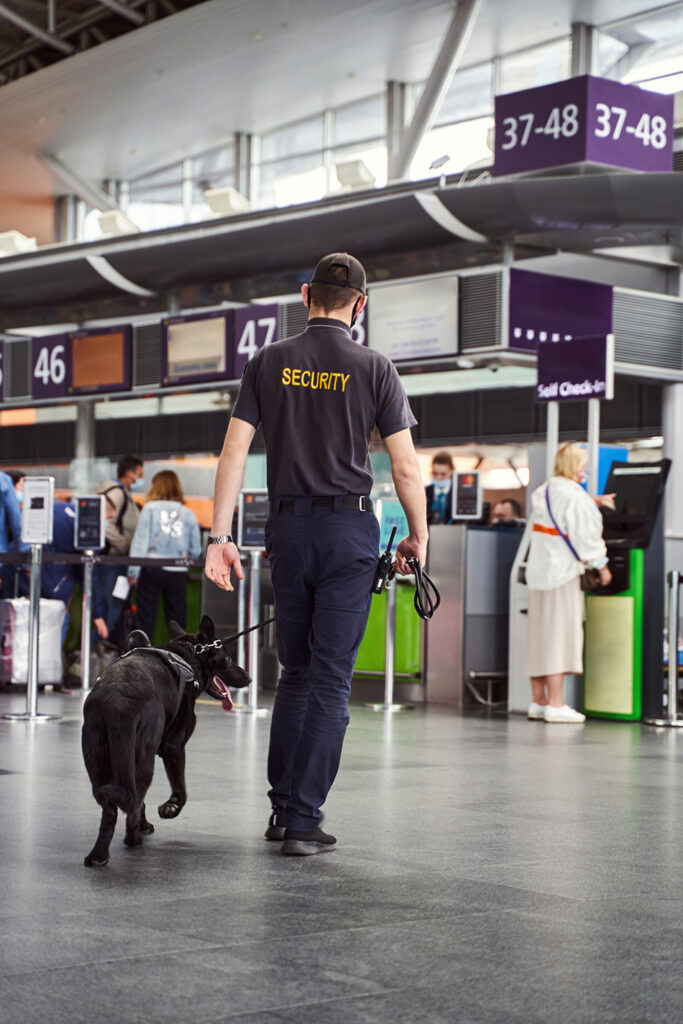 Airport Security with Dog