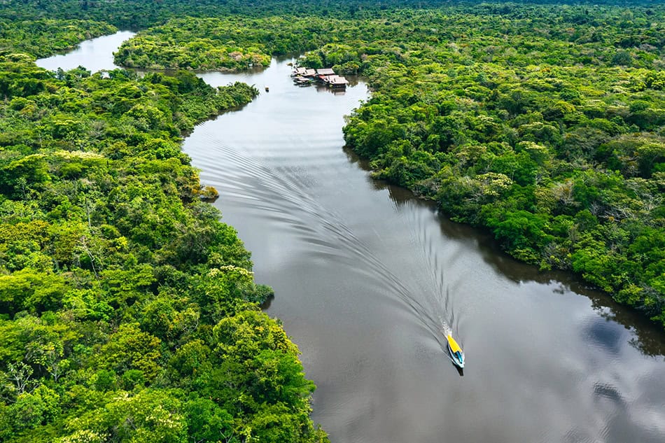 Amazon Rainforest