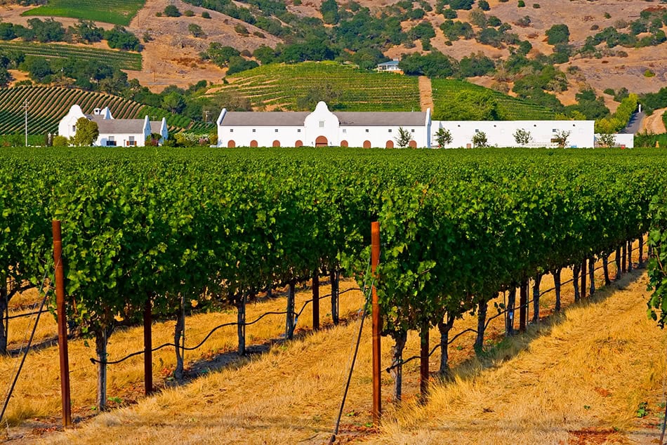Napa Valley, California USA