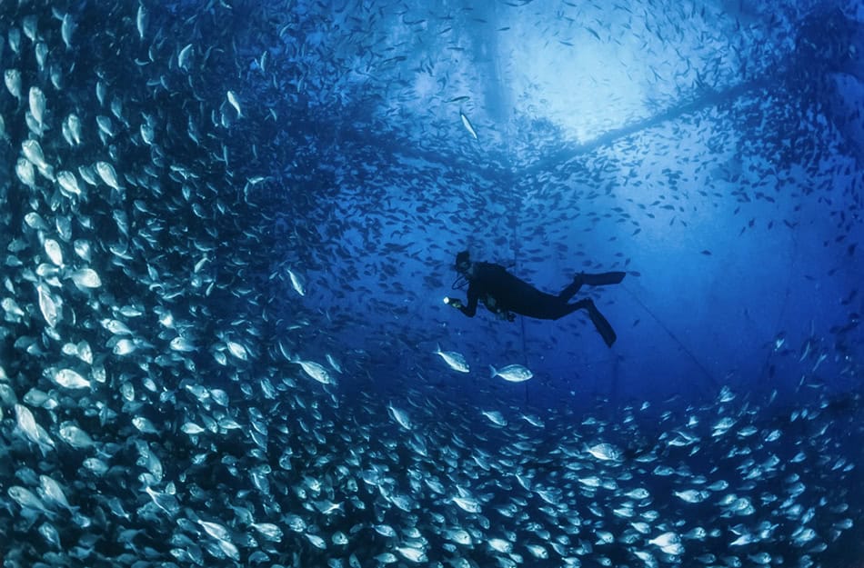 Ponza Island Scuba Diving Italy