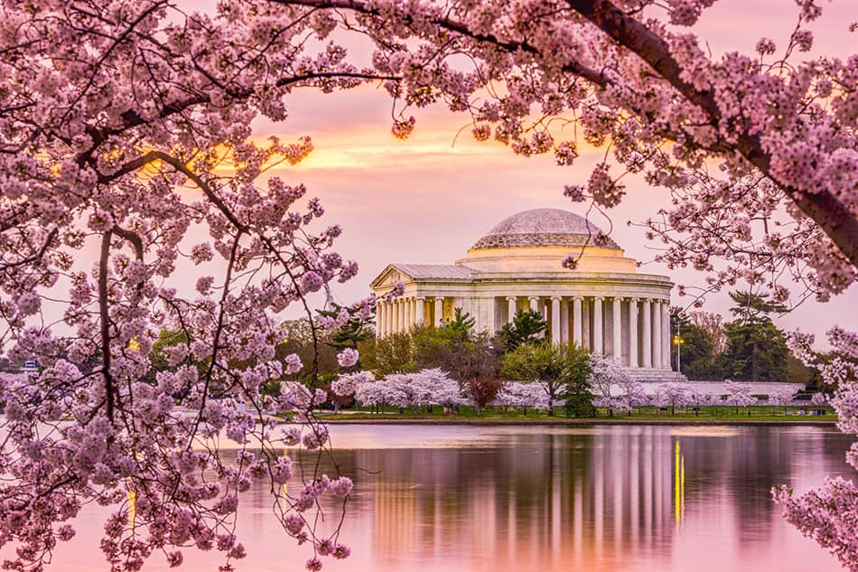 Washington, D.C. in USA