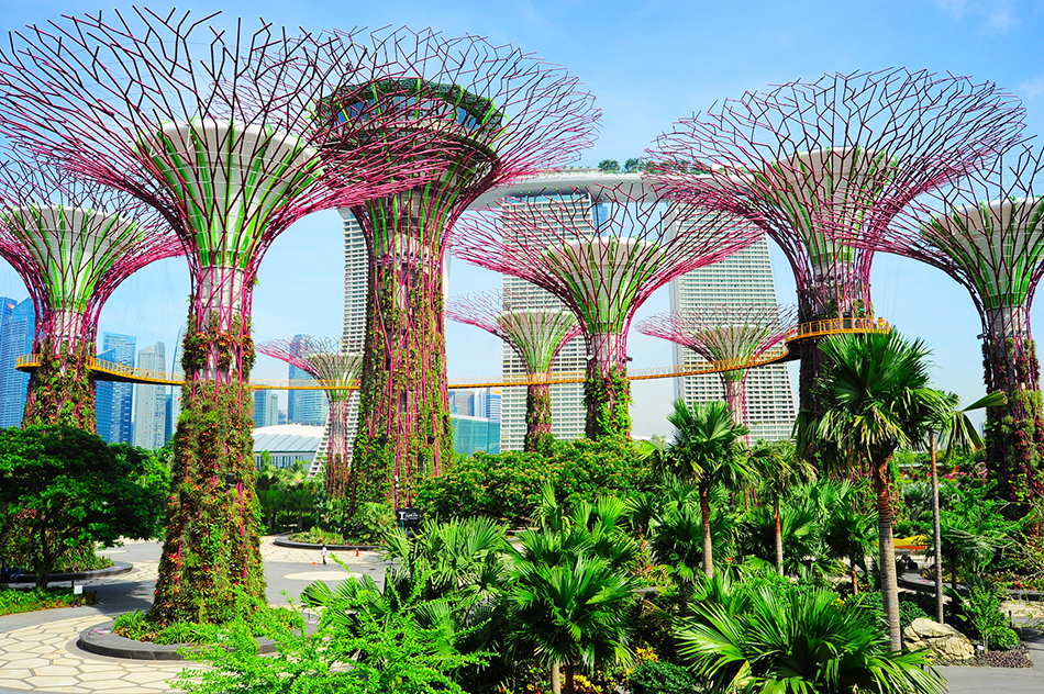 Singapore Gardens by the Bay