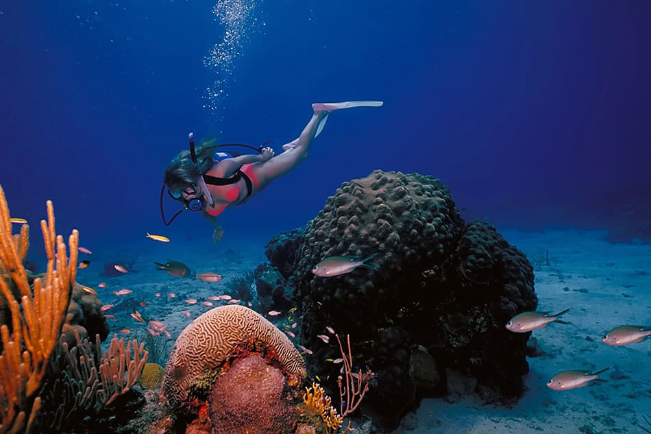 U.S. Virgin Islands - (St. Croix)