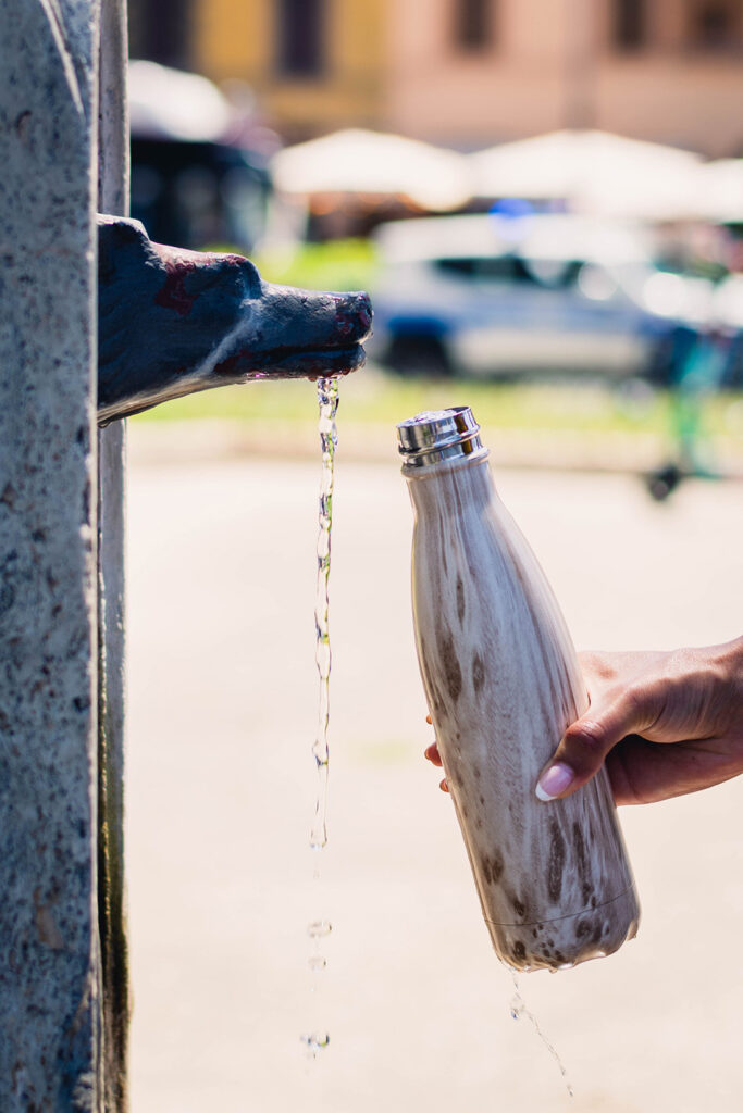 Water Bottle